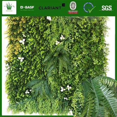 Растения для зеленой стены