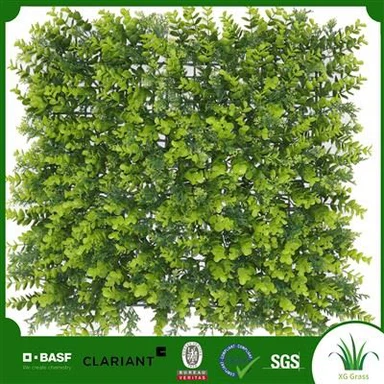 Внутренняя живая стена