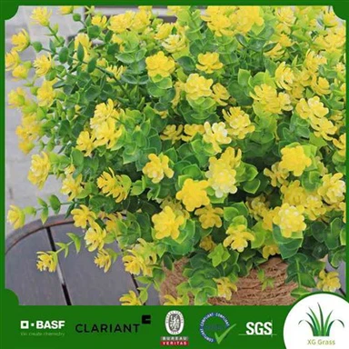 Поддельные Орхидеи