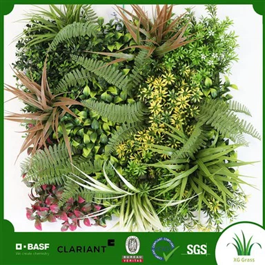 Стена с растениями для домашнего офиса