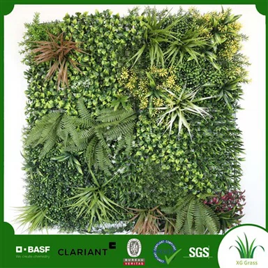 Комнатное подвесное растение на стене