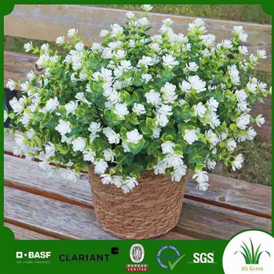 Шелковые Цветы