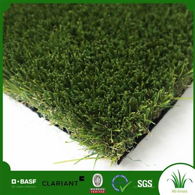 Газонная трава для патио