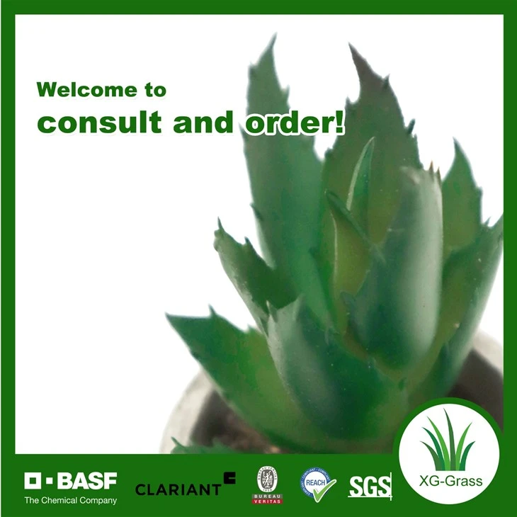 Xingu Lifelike Mini Faux Succulent Plants For Home Decor price