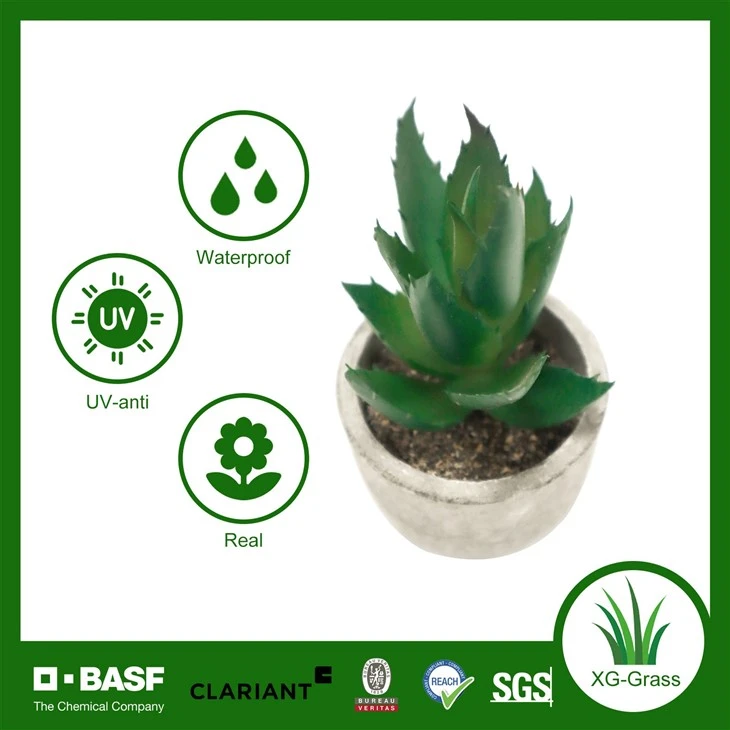 Xingu Lifelike Mini Faux Succulent Plants For Home Decor high quality